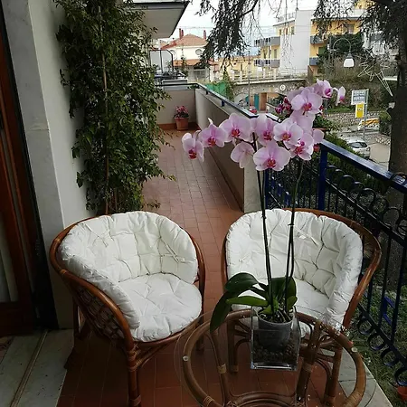 Apartment Stella Marina